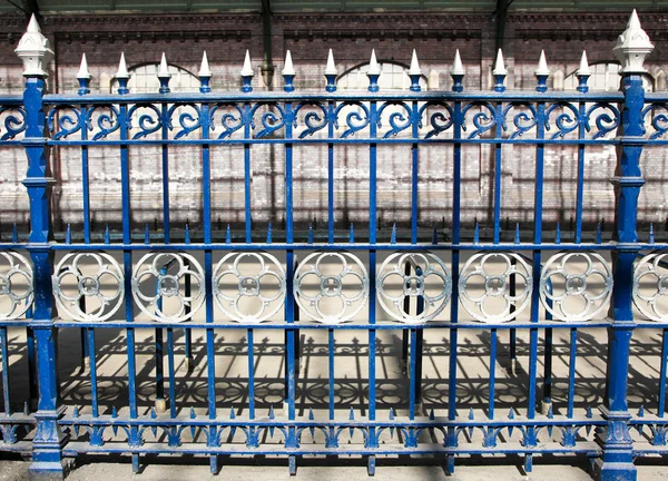 Королевский голубой забор — стоковое фото