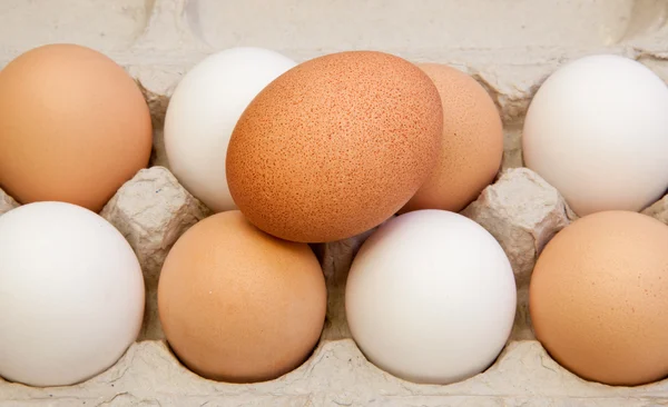 Яйца в картоне — стоковое фото