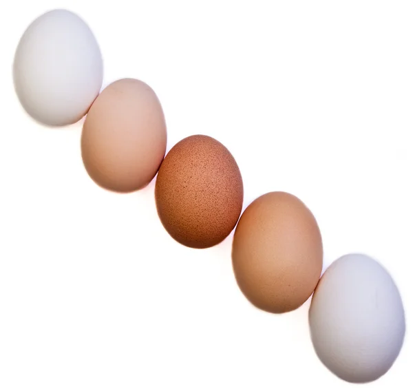 Diagonal ägg — Stockfoto