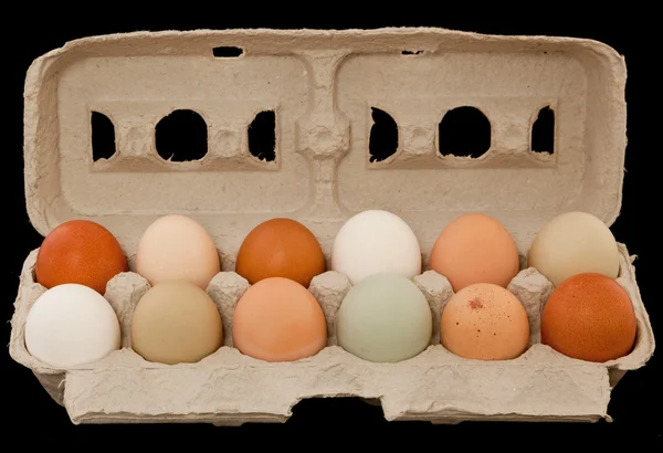 Яйце різноманітність у коробці — стокове фото