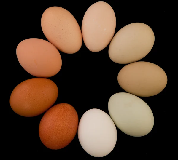 계란의 원형 — 스톡 사진