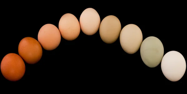 Duha vejce — Stock fotografie