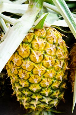 Ananas Meyve.