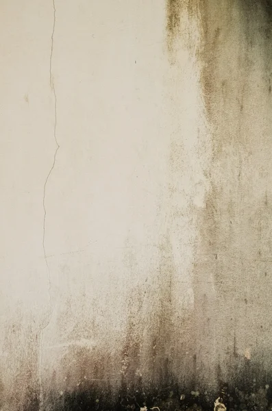 빈티지 그런 지 벽 텍스처. — 스톡 사진