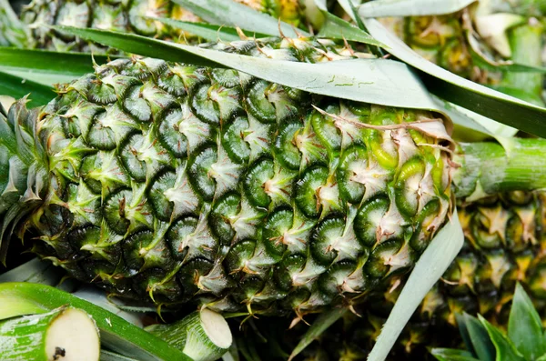 Ananas Meyve.