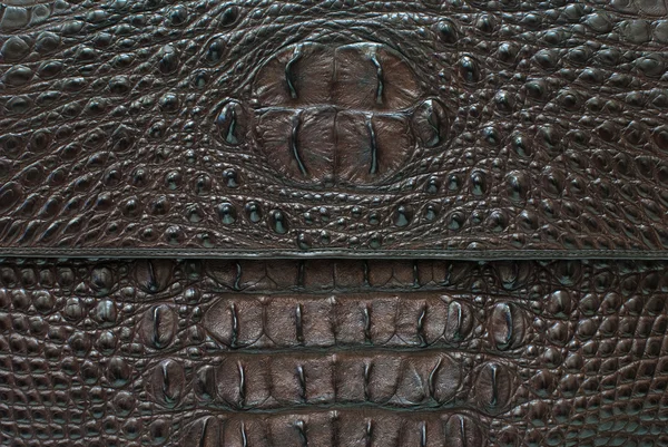 Crocodile bone skin texture background. — Stock Photo, Image