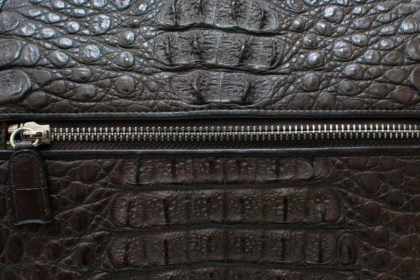 Crocodile bone skin texture background with zipper. — Stock Photo, Image