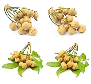 Set of Longkong fruit isolated. clipart