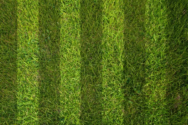 Voetbal veld textuur met gras. — Stockfoto