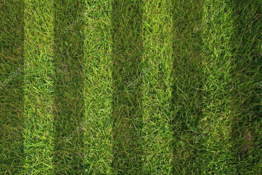 Toile de fond de but d'herbe verte de terrain de football pour la phot –