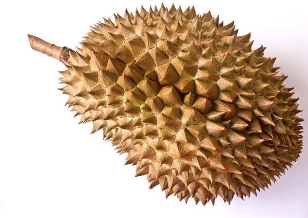 Durian izolovaných na bílém. — Stock fotografie