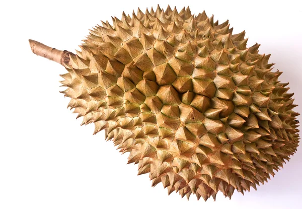 stock image Durian isolated on the white.