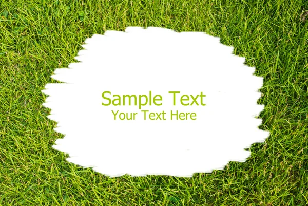Grün Gras Textur Hintergrund Feld. — Stockfoto