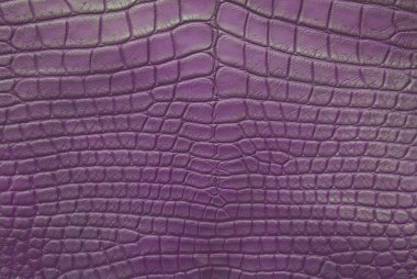 Vintage purple crocodile skin texture. clipart