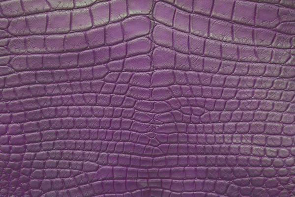 Vintage purple crocodile skin texture. — Stock Photo, Image