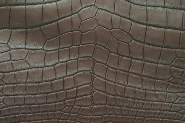 Texture de peau de crocodile vintage . — Photo