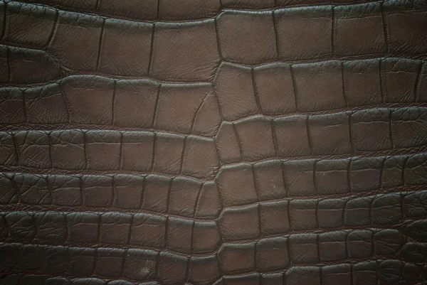 Vintage krokodil hudens struktur. — Stockfoto
