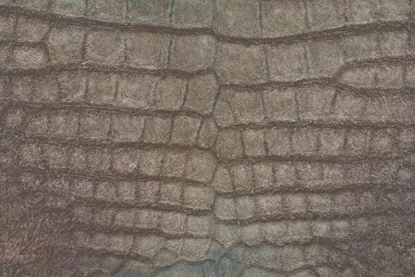 Ročník krokodýlí kůže textura. — Stock fotografie