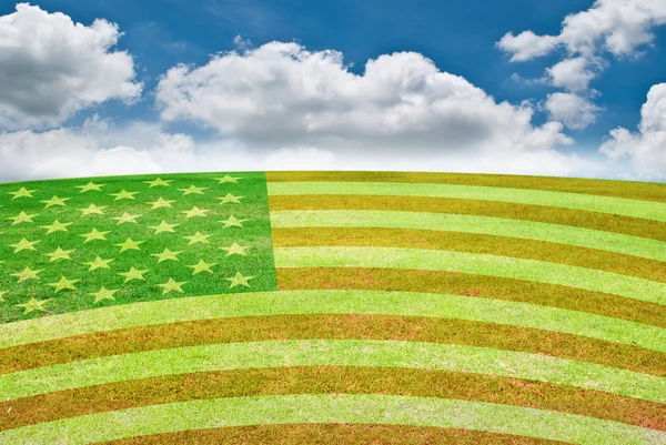 USA vlag op grasveld. — Stockfoto