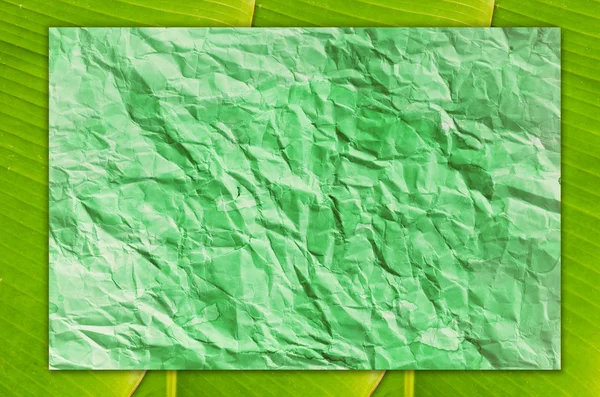 Green vintage paper on fresh banana leaf. — Stock Photo, Image