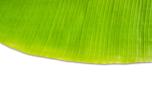 Groene verse bananenblad, geïsoleerd. — Stockfoto