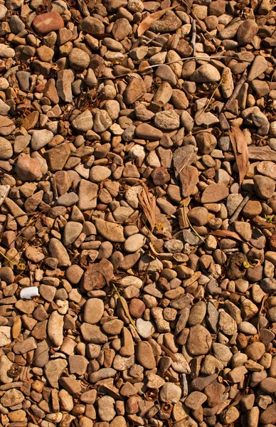 Rock texture field. — Stock Photo, Image