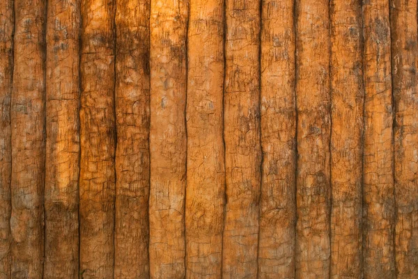 Textur aus Zementholz. — Stockfoto