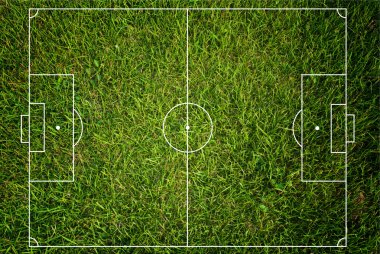 Soccer field texture with grass. clipart