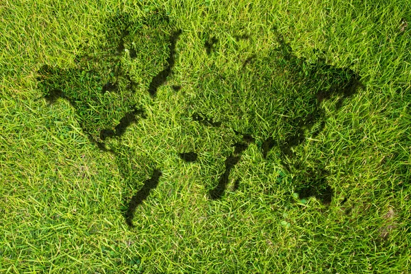 Резьба по карте мира на траве . — стоковое фото