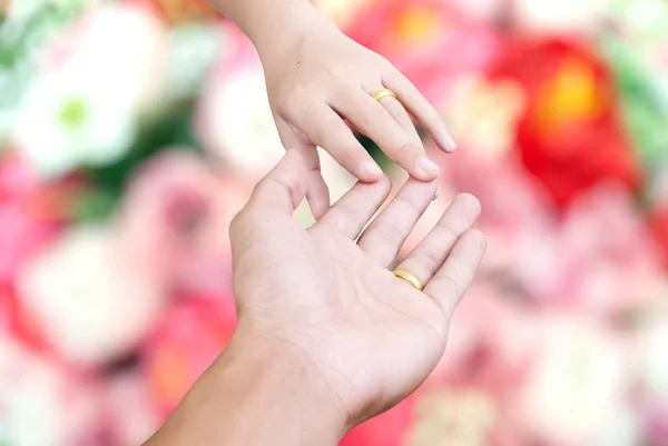 Toque de duas mãos para conceito de amor . — Fotografia de Stock