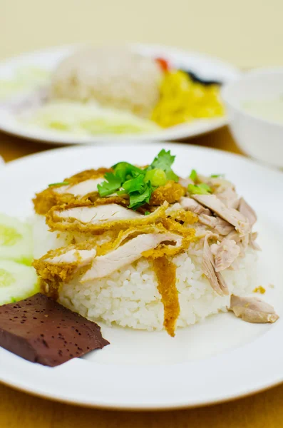 Comida tailandesa de pollo con arroz . — Foto de Stock