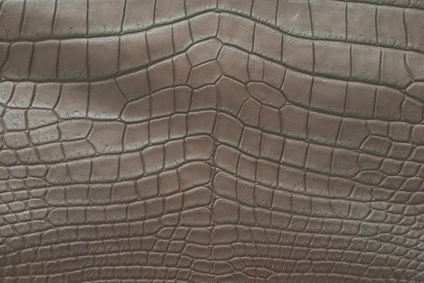 Textura de piel de cocodrilo vintage . —  Fotos de Stock