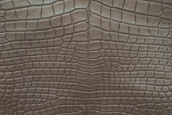 Vintage krokodil bőr textúra. — Stock Fotó