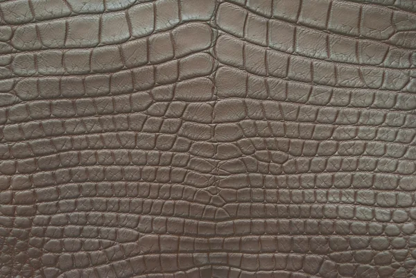 stock image Vintage crocodile skin texture.