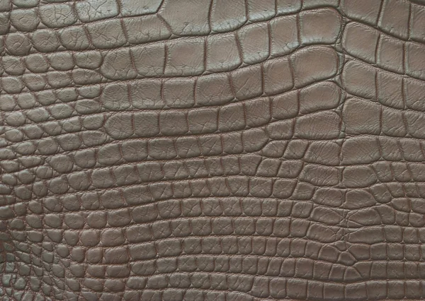 Ročník krokodýlí kůže textura. — Stock fotografie