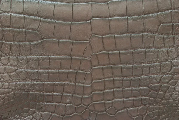 stock image Vintage crocodile skin texture.