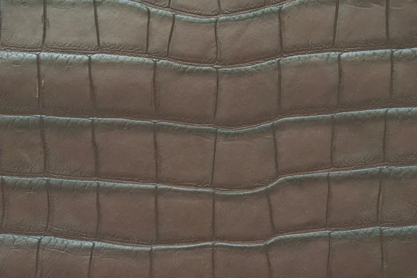 Vintage Krokodilleder Textur. — Stockfoto