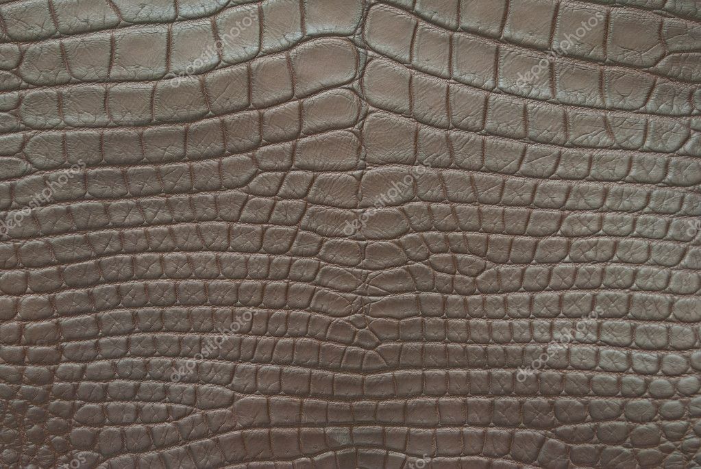Vintage Red Crocodile Skin Texture Stock Photo, Picture and Royalty Free  Image. Image 13230920.