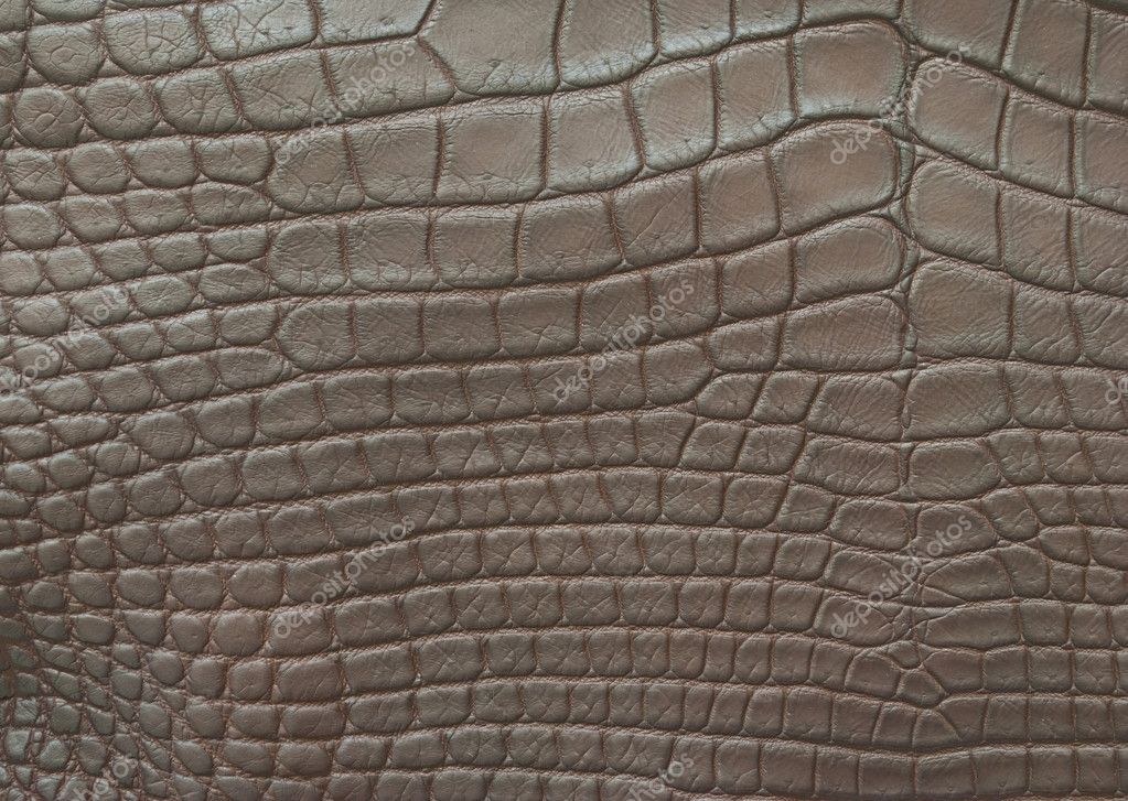 Vintage Red Crocodile Skin Texture Stock Photo, Picture and Royalty Free  Image. Image 13230920.