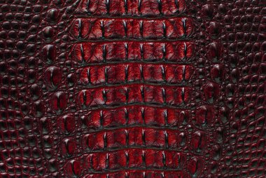 Red Crocodile bone skin texture background. clipart