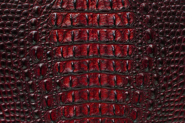 Rote Krokodilknochen Haut Textur Hintergrund. — Stockfoto