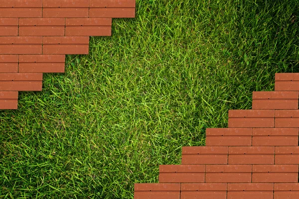 芝生のフィールドを持つオレンジ セメント壁テクスチャ. — ストック写真