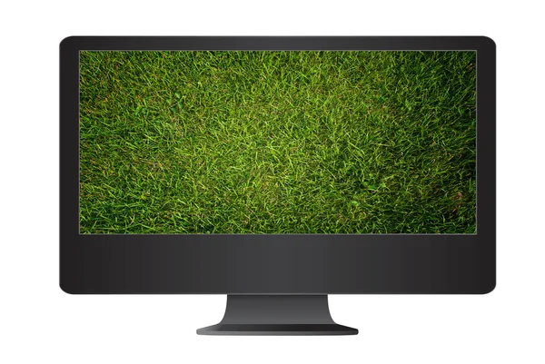 Grass in monitor screen. — Stock Photo, Image