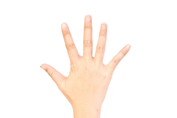 Ponto de cinco dedos isolado no branco . — Fotografia de Stock