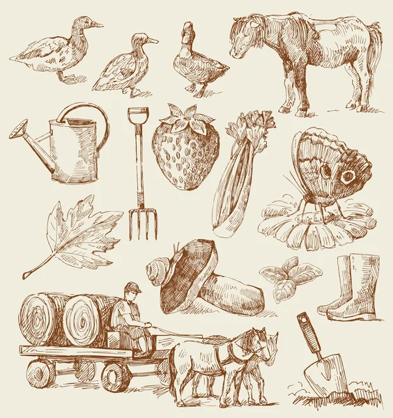 Farm-hand drawn set — Stock Vector