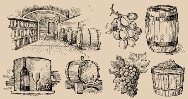 Colección de vinos — Vector de stock
