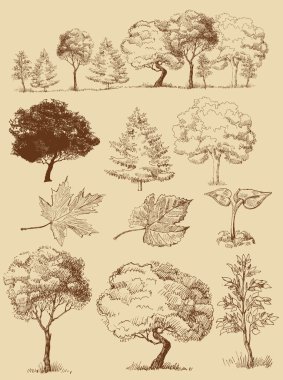 Vector trees clipart