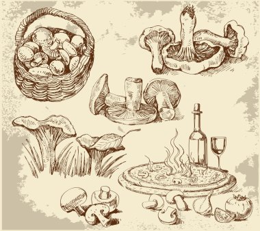 Mushrooms set clipart