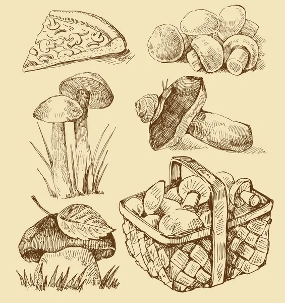 Conjunto de cogumelos — Vetor de Stock