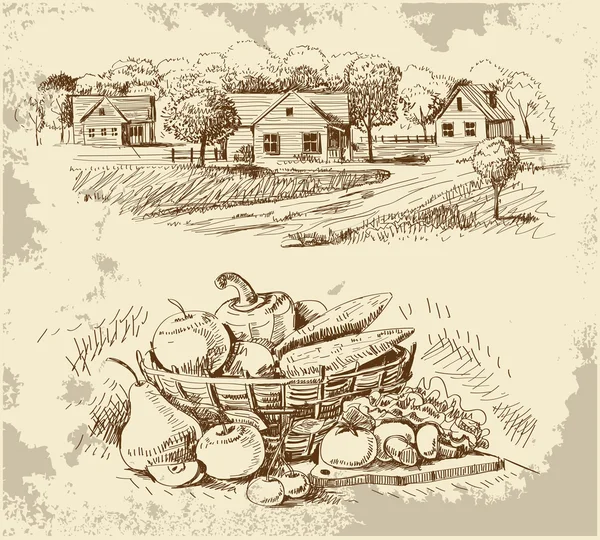 Сельские дома эскиз с едой — стоковый вектор